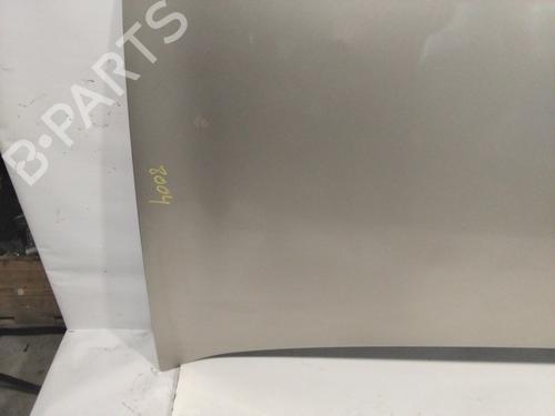 Hood RENAULT MEGANE II (BM0/1_, CM0/1_) 1.9 dCi | BP22697656C1 