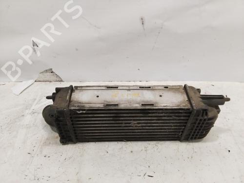 Intercooler CITROËN C5 III (RD_) 1.6 HDi 110 (RD9HL0, RD9HR8, RD9HRA) (112 hp) 25846079