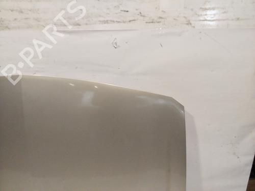 Hood RENAULT MEGANE II (BM0/1_, CM0/1_) 1.9 dCi | BP22697656C1 