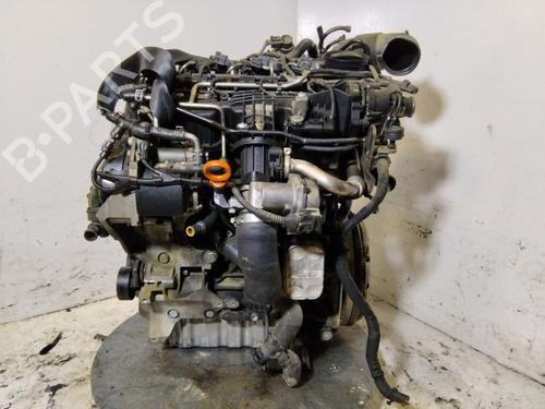 Engine VW GOLF PLUS V (5M1, 521) | BP37434516M1 - Image 7