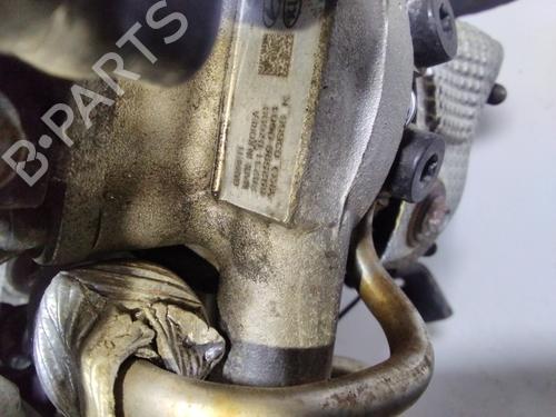 Engine KIA RIO IV (YB, SC, FB)  | BP31299556M1 