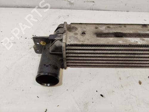 Intercooler CHEVROLET CAPTIVA (C100, C140) 2.0 D | BP29464157M30 