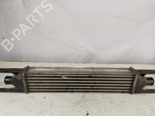 Used Intercooler Intercooler FIAT PUNTO EVO (199_) 1.3 D Multijet (199AXC1A, 199BXC1A, 199AXT1A, 199BXT1A) (75 hp) 33440995 33440995