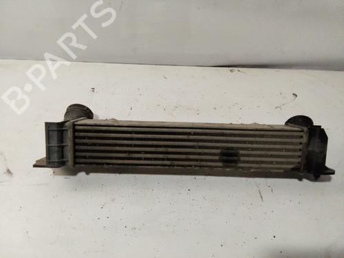 Intercooler BMW X1 (E84) sDrive 20 d | BP29923955M30