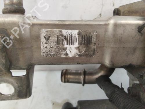 Egr RENAULT SCÉNIC II (JM0/1_)  | BP21683572M69 