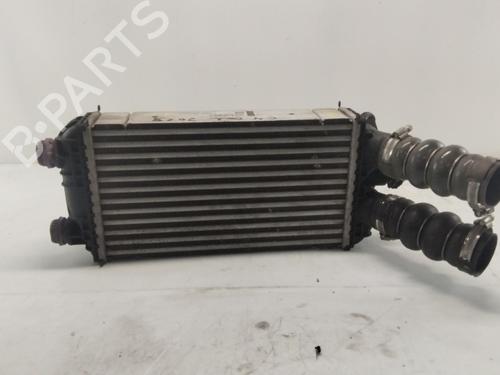 Intercooler CITROËN C4 II (NC_) 1.2 THP 110 (NCHNZ6, NCHNV6) | BP27818291M30