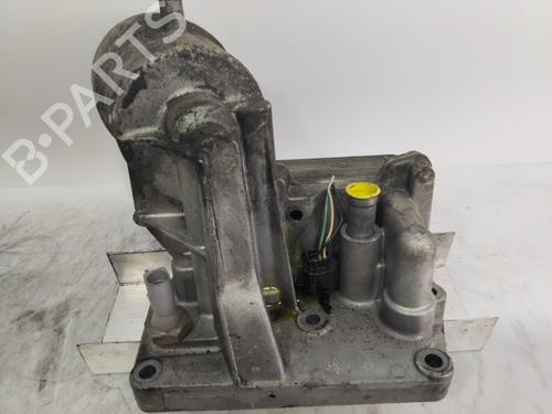 Oil radiator VW TRANSPORTER T5 Van (7HA, 7HH, 7EA, 7EH)  | BP29728066M33 
