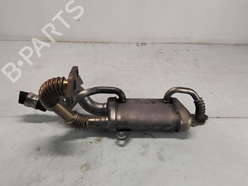 Used Egr RENAULT SCÉNIC III (JZ0/1_) [2008-2016]  28579268