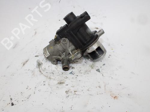 Egr DACIA DOKKER MPV (KE_)  | BP13906379M69 