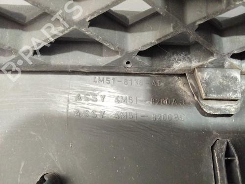 Grill FORD FOCUS II (DA_, HCP, DP)  | BP21762641C40 