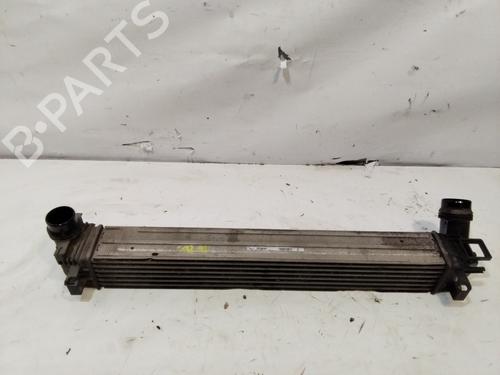 Used Intercooler RENAULT MEGANE III Hatchback (BZ0/1_, B3_) 1.2 TCe (BZ16, BZ28) (132 hp) 29464161
