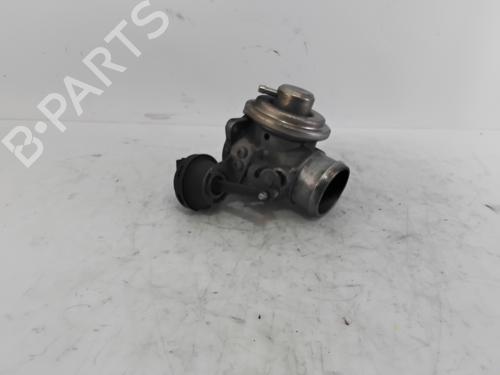 Egr SEAT IBIZA III (6L1)  | BP29905579M69