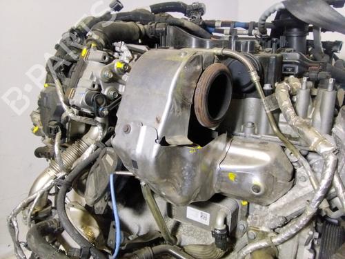 Engine LAND ROVER RANGE ROVER EVOQUE (L538)  | BP32858034M1  - Image 7