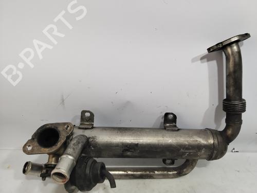 Egr SKODA OCTAVIA I (1U2) 1.9 TDI | BP28135975M69 