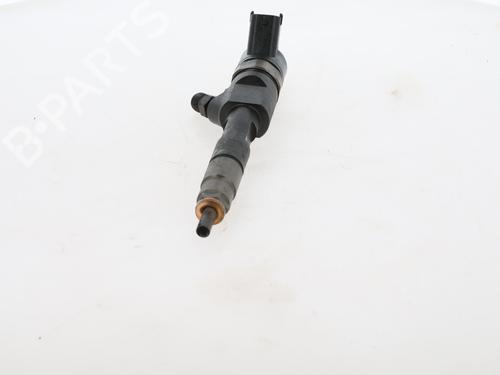 Injector RENAULT SCÉNIC II (JM0/1_)  | BP29610818M100