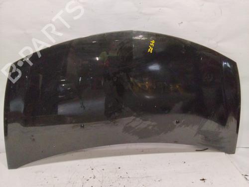Hood RENAULT CLIO III (BR0/1, CR0/1)  | BP28136291C1 