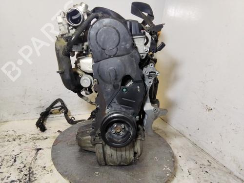 Engine SEAT IBIZA III (6L1)  | BP36542117M1  - Image 11
