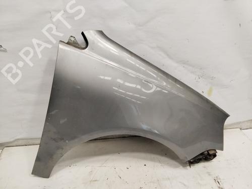 Right front fenders VW POLO (9N_, 9A_)  | BP27215176C42 