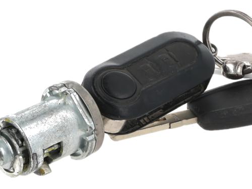 Ignition barrel FIAT DUCATO Platform/Chassis (250_) 130 Multijet 2,3 D | BP29435718M48 