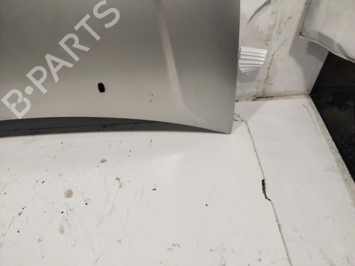 Hood FORD FIESTA V (JH_, JD_) 1.4 16V | BP21661956C1 