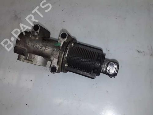 Egr FIAT PUNTO (188_) 1.9 JTD 80 (188.237, .257, .337, .357) | BP8575726M69
