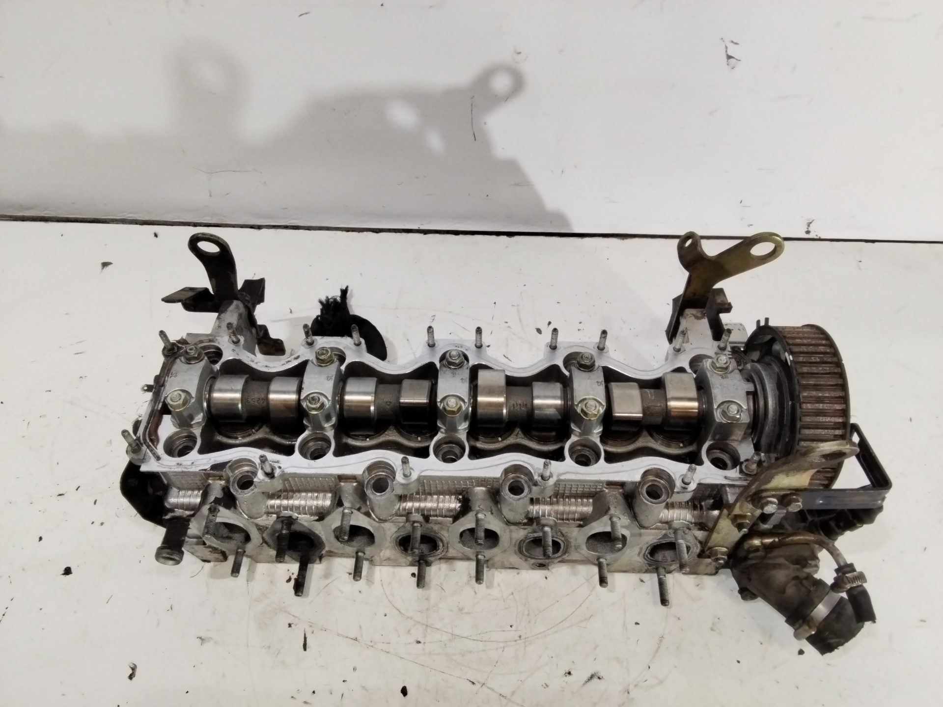 Cylinder head FIAT DUCATO Van (244_) 2.8 JTD Power 33698193 | B-Parts