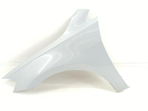 Left front fenders VW GOLF VII Variant (BA5, BV5) 1.6 TDI | BP29122765C41 