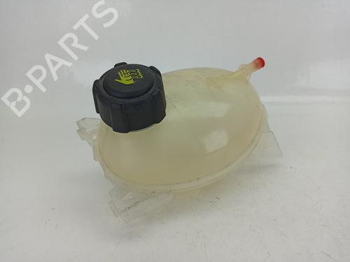 Used Expansion tank DACIA SANDERO II TCe 90 (B8M1, B8MA, B8AC) (90 hp) 13345168