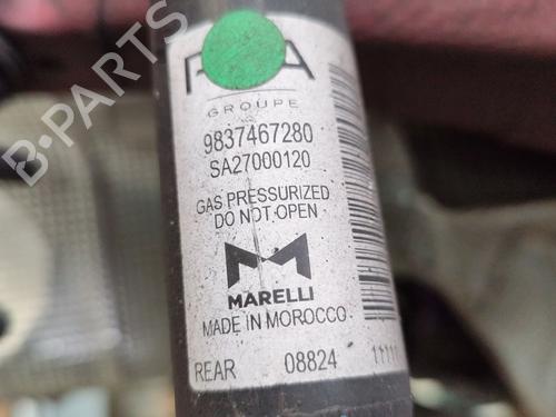 Højre bagtil støddæmper OPEL CORSA F (P2JO) 1.2 (68) | BP29998951M19 