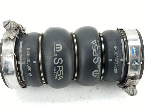 Used Pipe PEUGEOT 2008 II (UD_, US_, UY_, UJ_, UR_, UC_) 1.5 BlueHDI 110 (UDYHSK) (110 hp) 30435668