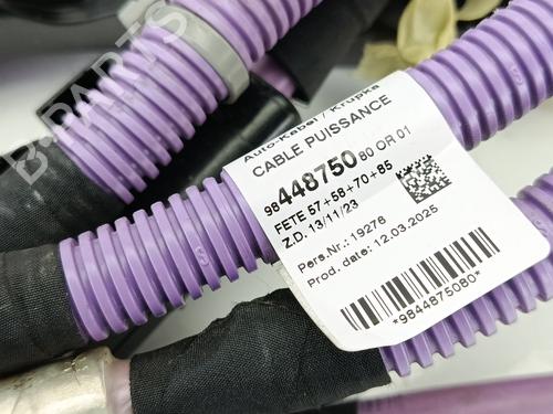 Cable CITROËN C4 X (BD_, BE_, BF_) ë-C4 X (BFZKXC) | BP37074343E12 - Image 5