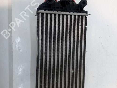 Intercooler PEUGEOT 208 II (UB_, UP_, UW_, UJ_)  | BP25876155M30 