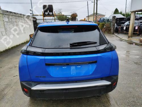 Rear left panel PEUGEOT 2008 II (UD_, US_, UY_, UJ_, UR_, UC_) 1.2 PureTech 100 (USHNK) | BP31995931C60 