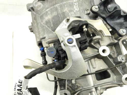Gearbox FORD KUGA III (DFK)  | BP29497525M3 