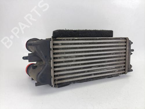 Used Intercooler FORD FIESTA VI (CB1, CCN) 1.5 TDCi (75 hp) 25876568