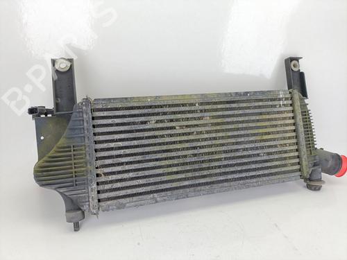 Used Intercooler NISSAN PATHFINDER III (R51) 2.5 dCi 4WD (171 hp) 25877038