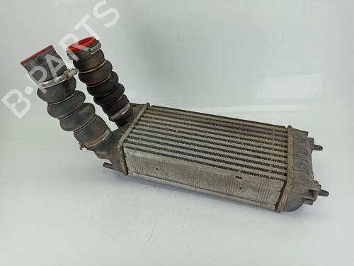 Intercooler PEUGEOT PARTNER Tepee 1.6 HDi 90 | BP25874699M30 