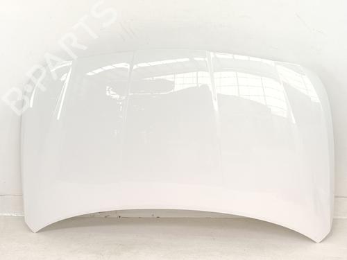 Used Hood Hood HYUNDAI i20 III (BC3, BI3) 1.2 (84 hp) 34010041 34010041