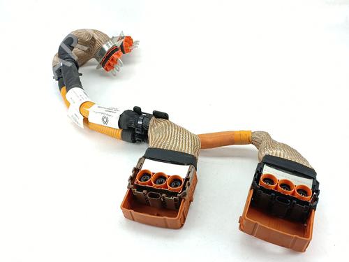Used Wiring harness Wiring harness RENAULT CLIO V (B7_) 1.6 E-TECH 145 (B7MU) (143 hp) 39890479 39890479