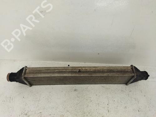 Intercooler FIAT BRAVO II (198_)  | BP9397159M30 