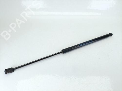 Used Hood lift support FORD RANGER (TKE) [2011-2025]  26554386