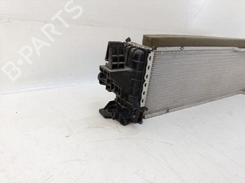 Intercooler FIAT DUCATO Van (250_) 140 Multijet 2,2 D | BP28058252M30 