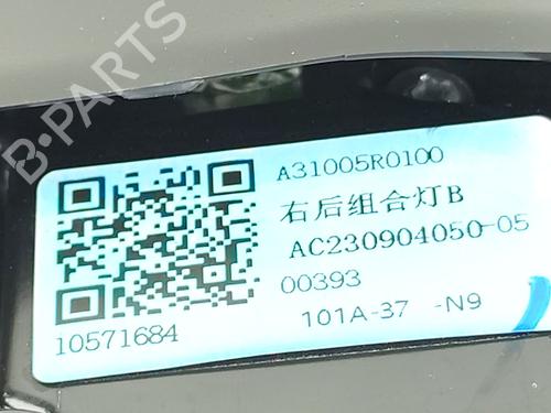 Højre baglygte bagklap MG MG ZS SUV (AZS1) 1.5 VTi | BP28022789C80
