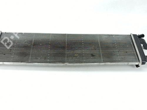 Used Water radiator RENAULT AUSTRAL TCe 130 (HGM2) (131 hp) 29184229