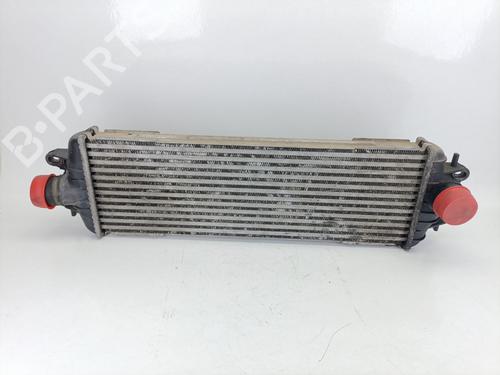 Used Intercooler RENAULT TRAFIC II Van (FL) 2.5 dCi 135 (FL0D) (135 hp) 25877134