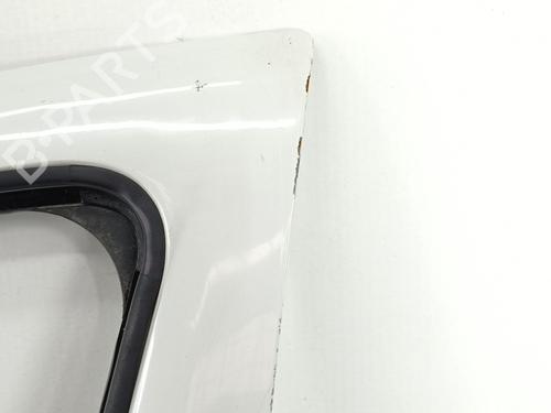 Left front door PEUGEOT PARTNER Box Body/MPV 1.6 HDi / BlueHDi 75 | BP27298145C2 