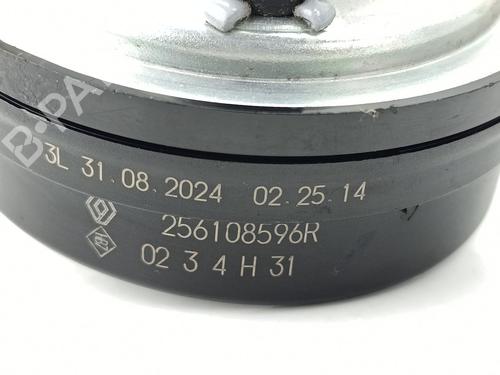 Horn RENAULT CAPTUR II (HF_) TCe 90 (HFM6) | BP29748356E13 