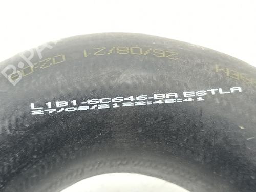 Pipe FORD PUMA (J2K, CF7) 1.0 EcoBoost | BP35981322M125 - Image 3