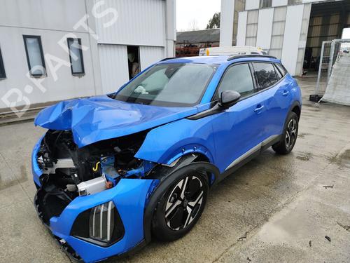 Rear left panel PEUGEOT 2008 II (UD_, US_, UY_, UJ_, UR_, UC_) 1.2 PureTech 100 (USHNK) | BP31995931C60 