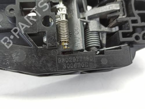 Front right exterior door handle PEUGEOT 208 II (UB_, UP_, UW_, UJ_)  | BP25876031C129 